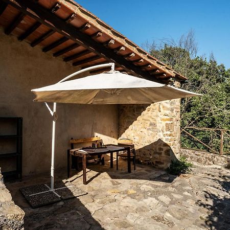 Agriturismo Santa Caterina Castelnuovo di Val di Cecina Εξωτερικό φωτογραφία