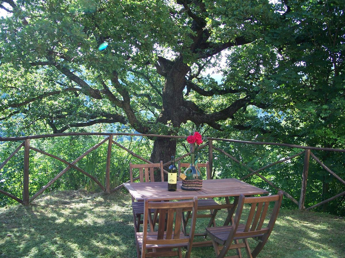Agriturismo Santa Caterina Castelnuovo di Val di Cecina Εξωτερικό φωτογραφία